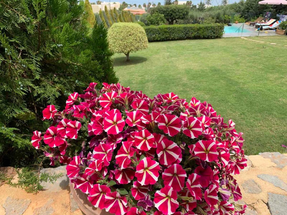 Golden Crest Villa Hersonissos  Exterior foto