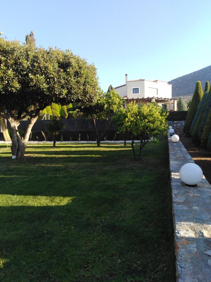 Golden Crest Villa Hersonissos  Exterior foto